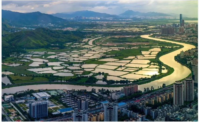 QQ截圖20231025151552.png