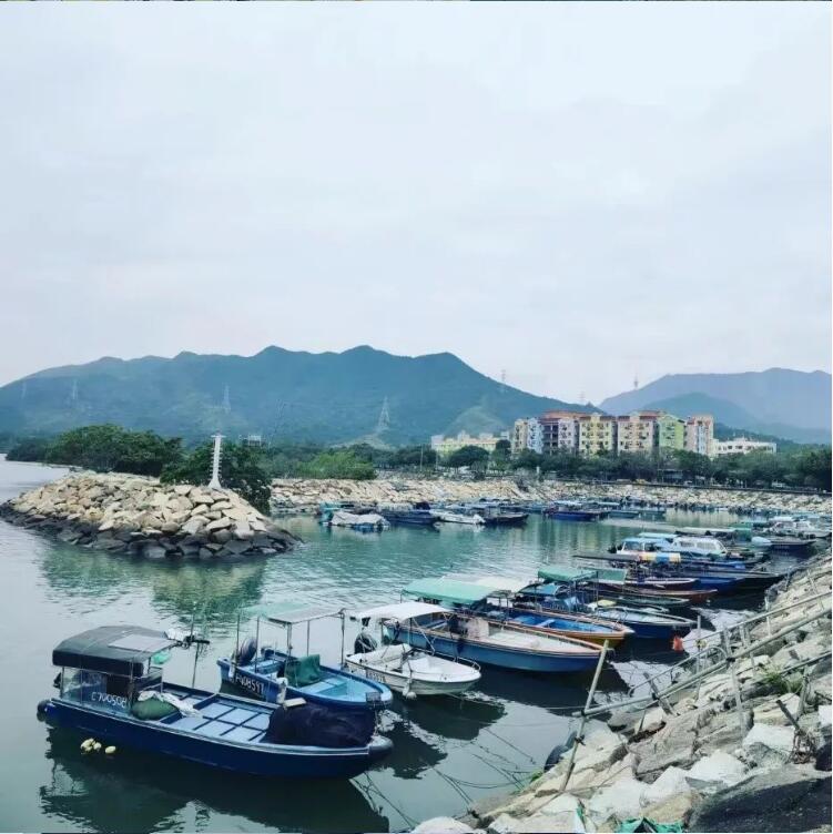 QQ截圖20240423155727.jpg
