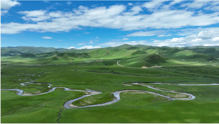 QQ20250822-160241.jpg QQ20250822-160241.jpg